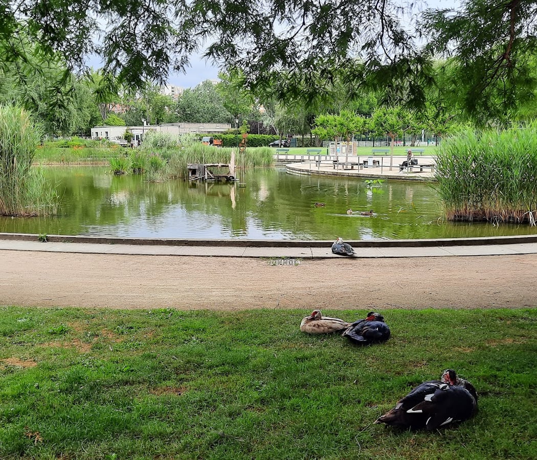 Aire de jeux pour enfants (2 à 8 ans) du parc Kellermann 3